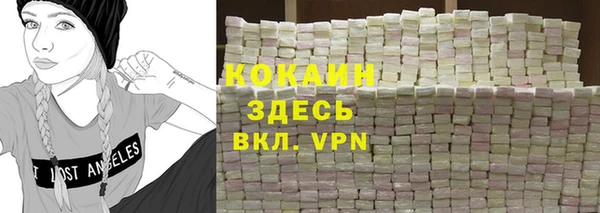 mdpv Богородск