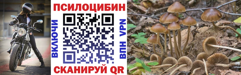 где найти   Оха  Галлюциногенные грибы мухоморы 